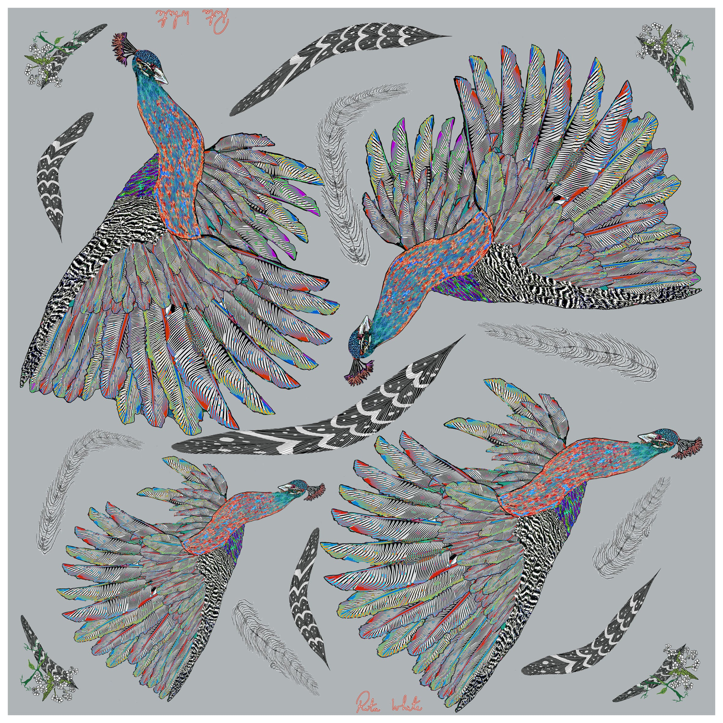 Proud Peacock Feathers in Grey, 100% Silk Scarf , Large Square